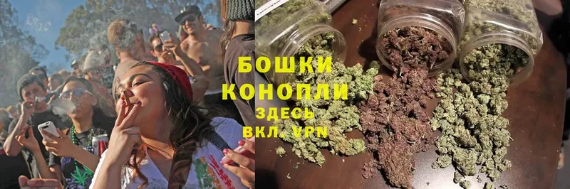 как найти наркотики  Новоузенск  Марихуана SATIVA & INDICA 